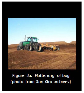 Figure 3a: Flattening of bog
