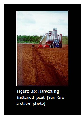 Figure 3b: Harvesting flattened peat
