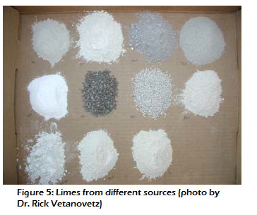 Figure 5: Limes from different sources