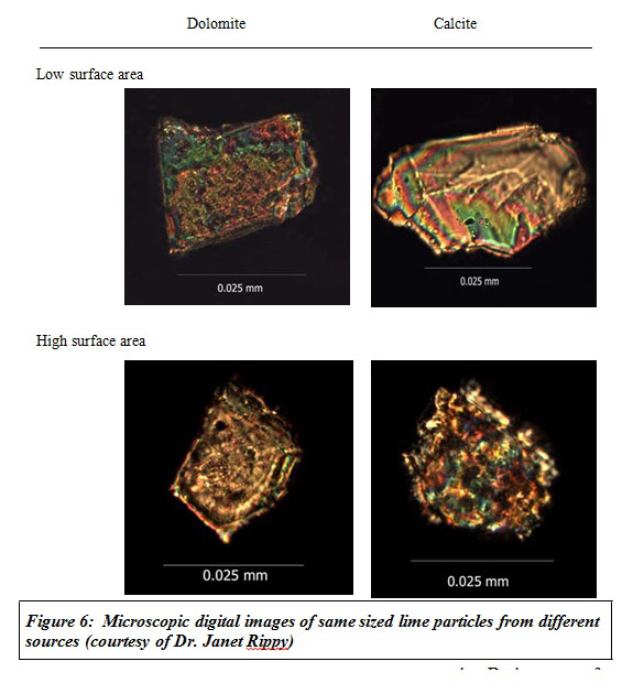 Figure 6: Microscopic digital images of same sized lime particles from different sources