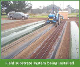 Field substrate system being installed