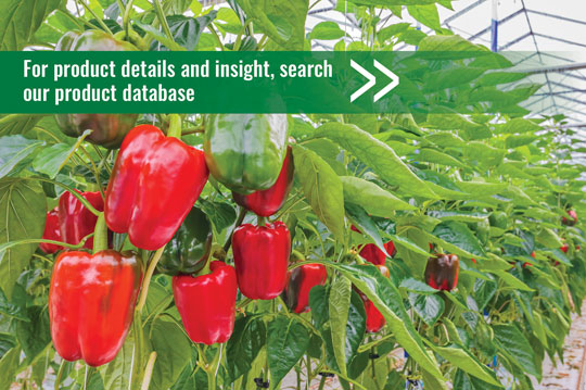 Product Database red peppers featured image