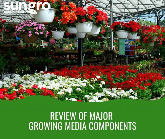 Review of Major Growing Media Components Featured Image