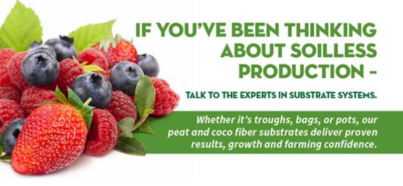 Image of fresh berries with text that says Sun Gro soilless systems deliver proven results and farming confidence