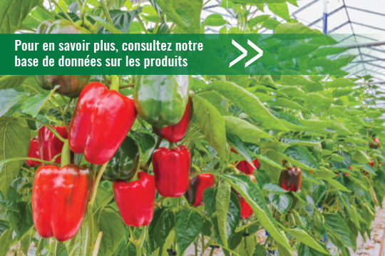 Product Database Ad with red peppers (French)