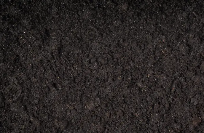 Close-up texture of dark, rich soil