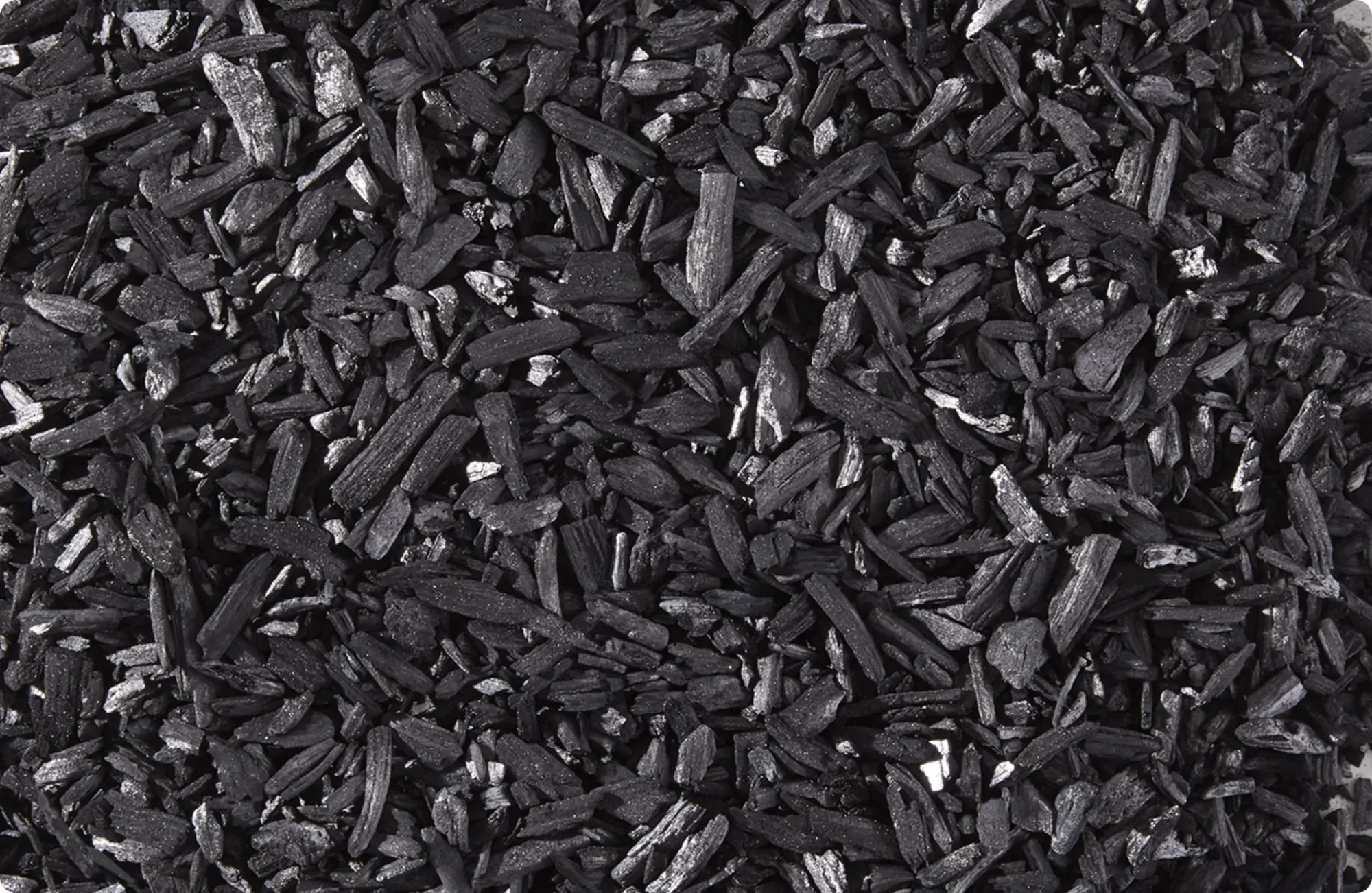black-bear_biochar