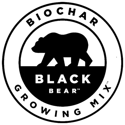 Black Bear&reg;