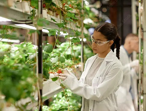 Controlled environment agriculture