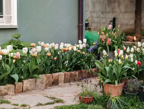 Outdoor bedding plants: cell-pack to small containers