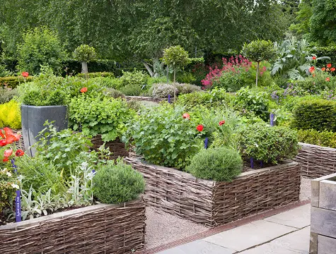 Vegetables and Herbs