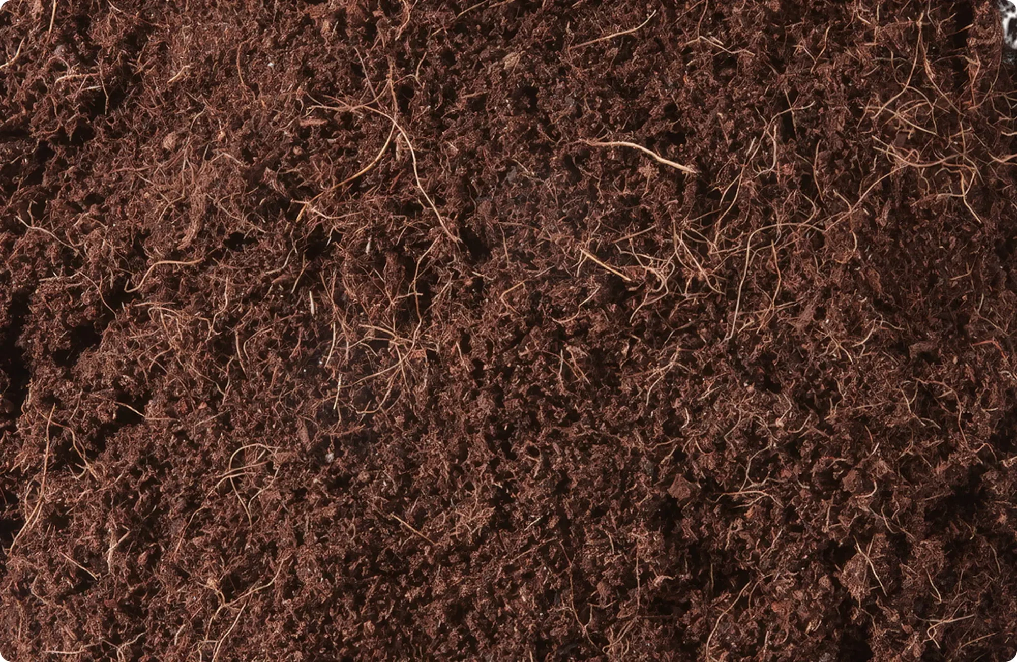 pelemix_coir