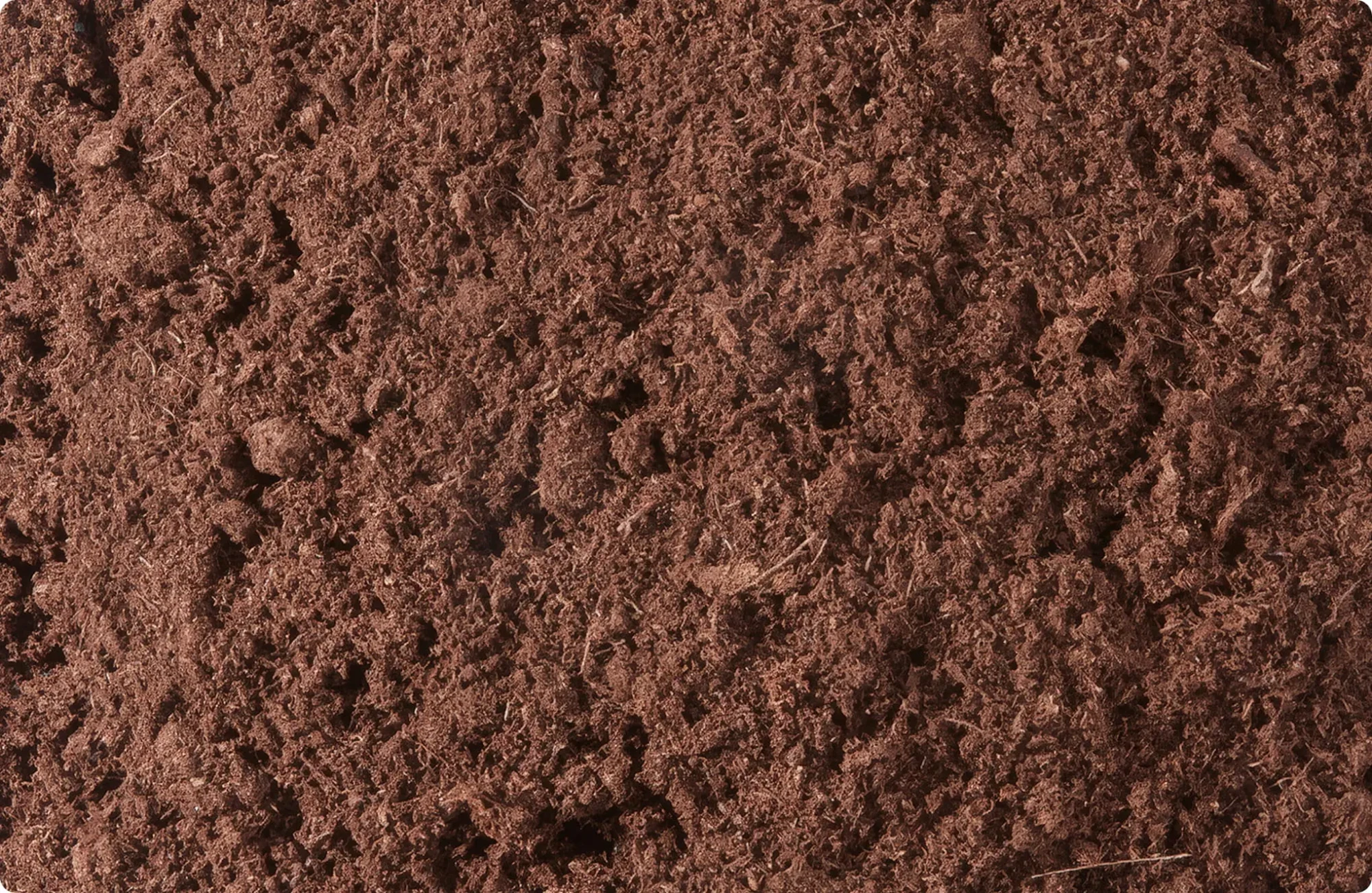 Close-up texture of Sungro peat moss soil amendment showing fibrous brown organic material for potting mixes and planting