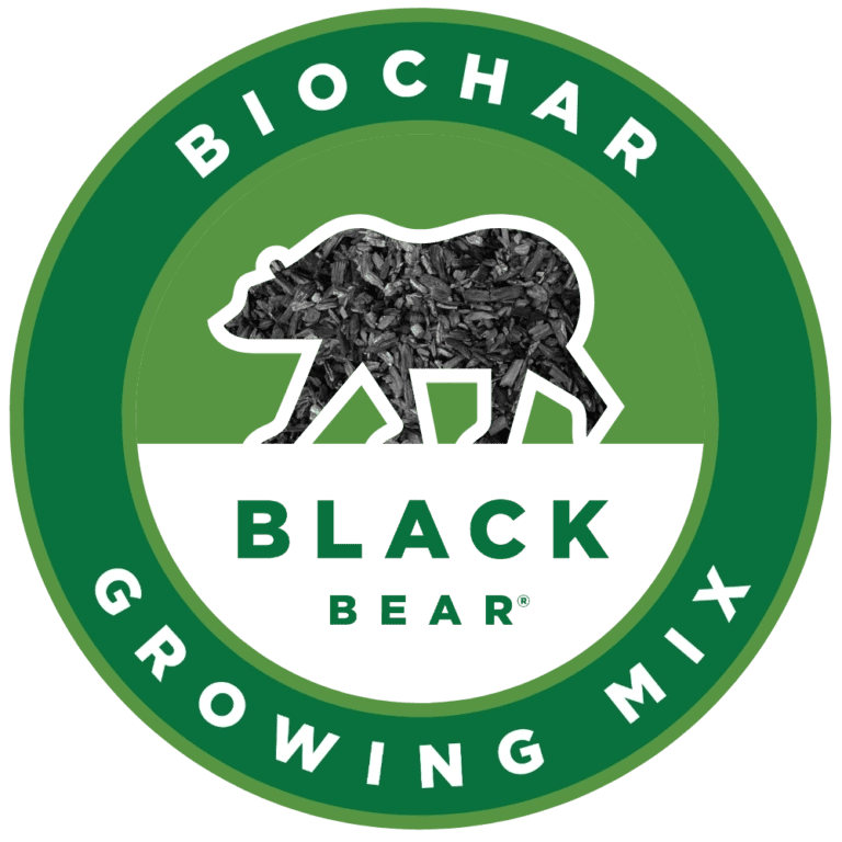 Black Bear Logo
