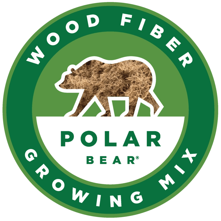 Polar Bear Green Logo