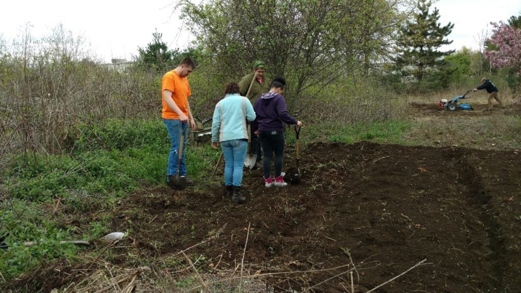 Bénévoles du jardin préparant les plates-bandes en 2016