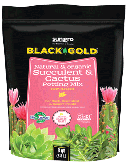 Black Gold® Natural & Organic Succulent & Cactus Potting Mix — Sun