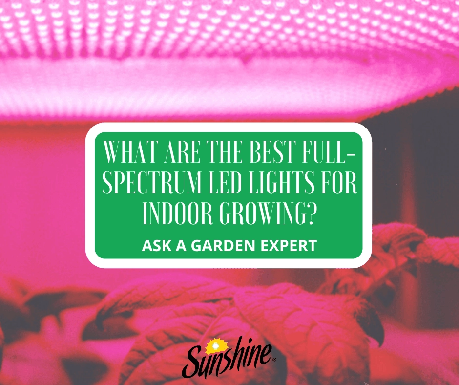 Full-spectrum LED grow light panel glowing pink over indoor herbs with overlay text about best LED lights for growing