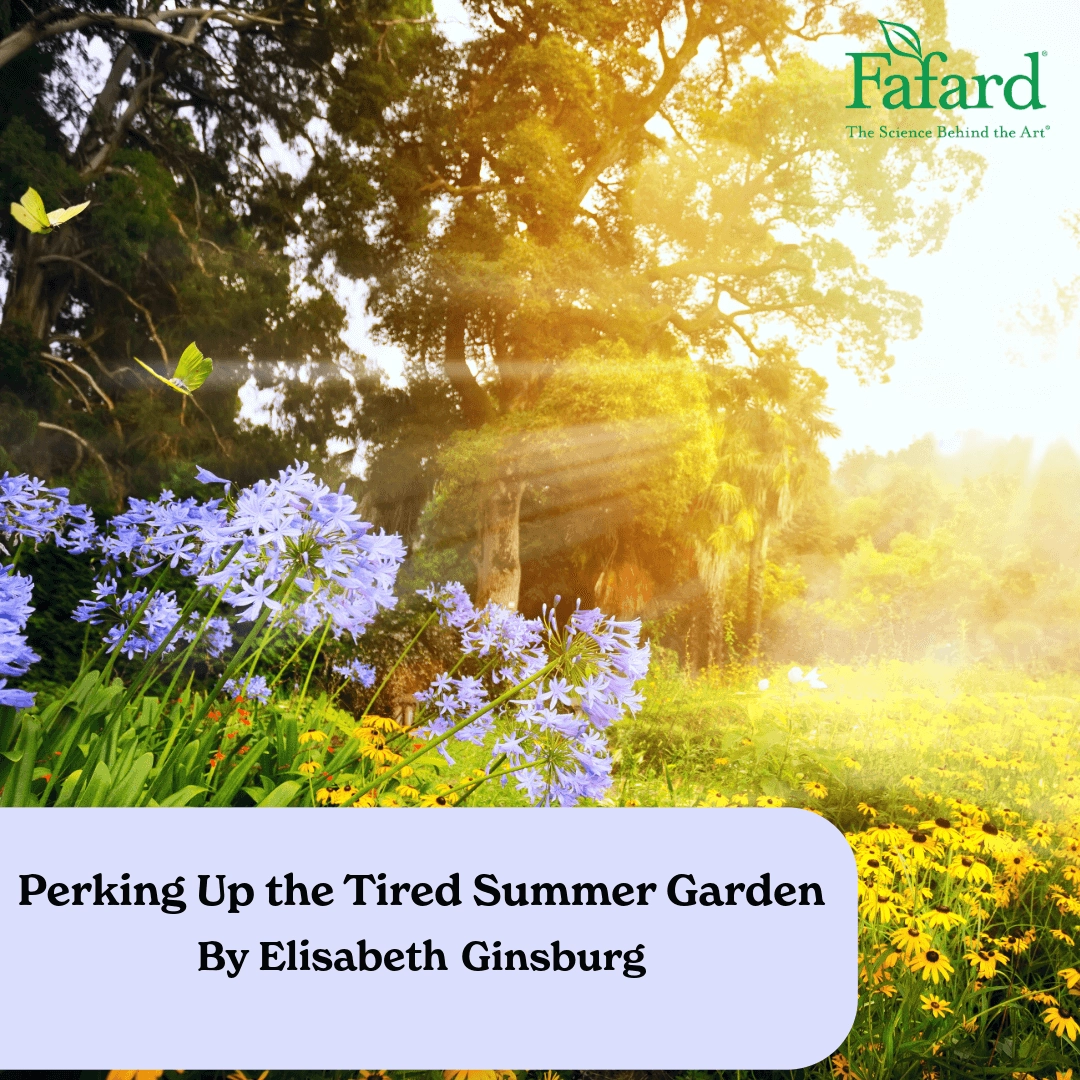 Bright summer garden with purple agapanthus, yellow coneflowers and butterflies illustrating late‑season garden revival