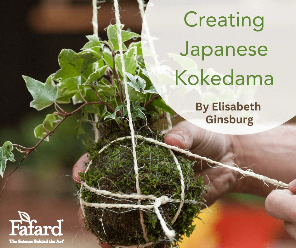 Close-up of hands tying twine around a moss-covered kokedama ball with ivy, for a Creating Japanese Kokedama tutorial