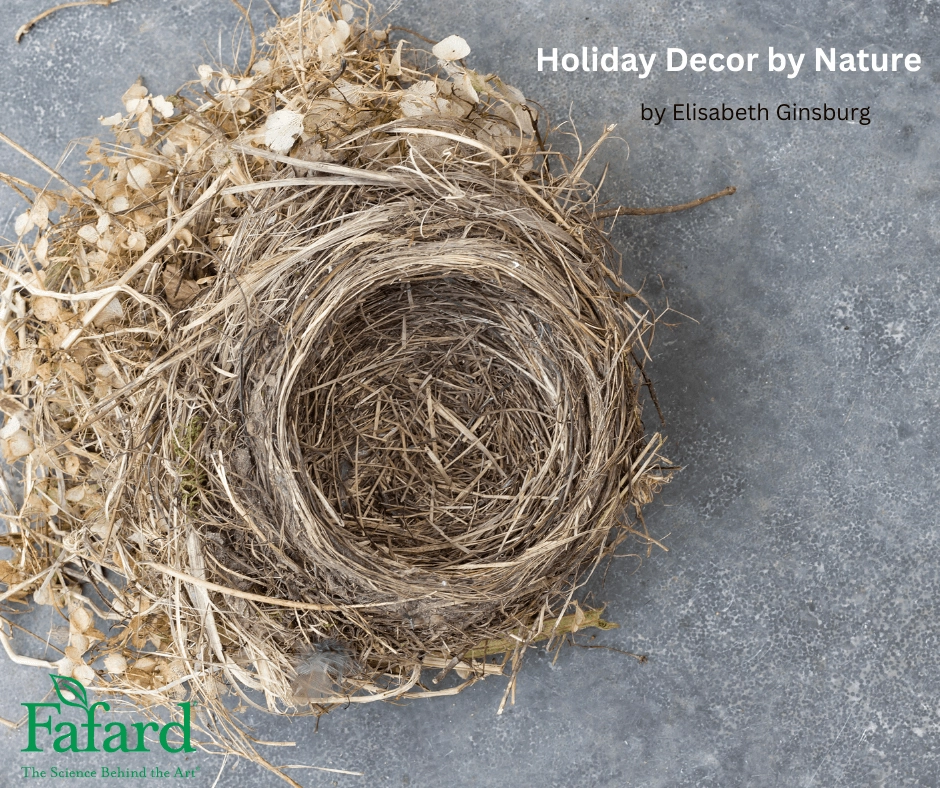 Rustic dried bird nest and natural wreath materials on gray stone for Holiday Decor by Nature article header