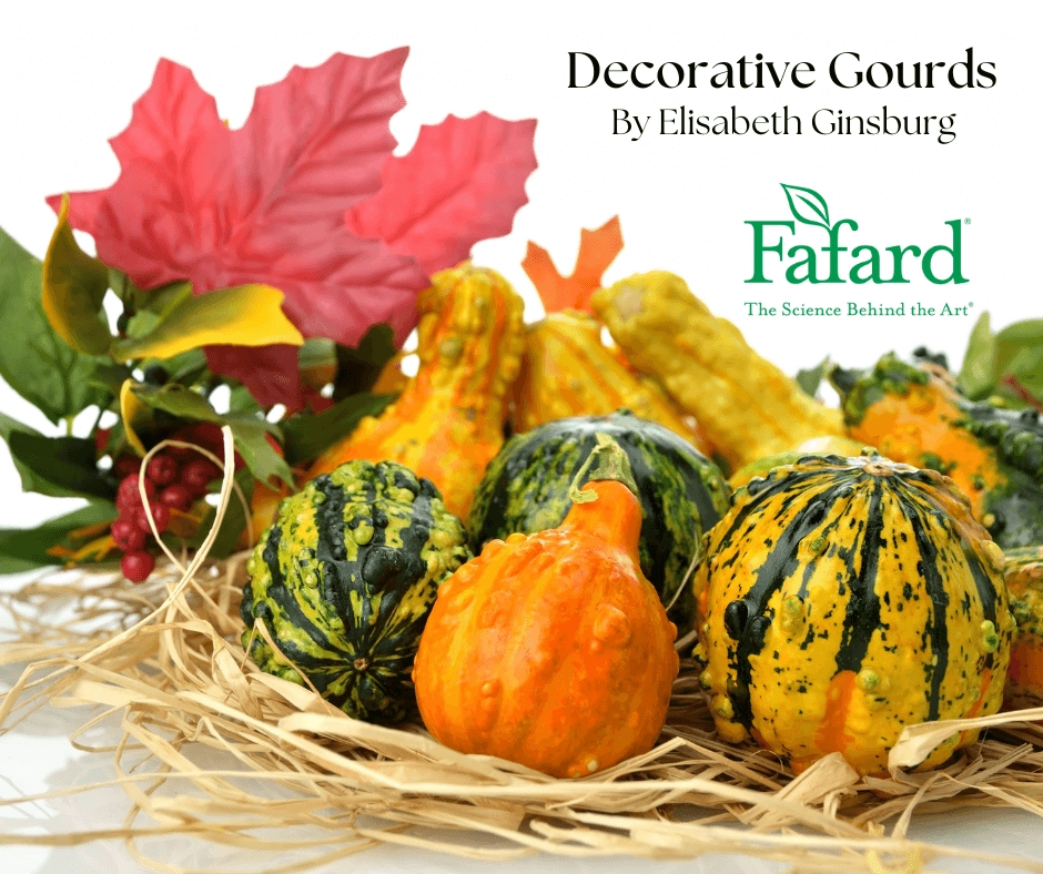 Close-up of colorful decorative gourds and squash in a straw nest with autumn leaves for fall porch displays