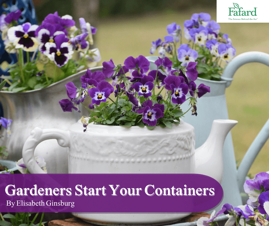 Purple pansies and violas arranged in vintage white teapot and pitchers for spring container gardening inspiration