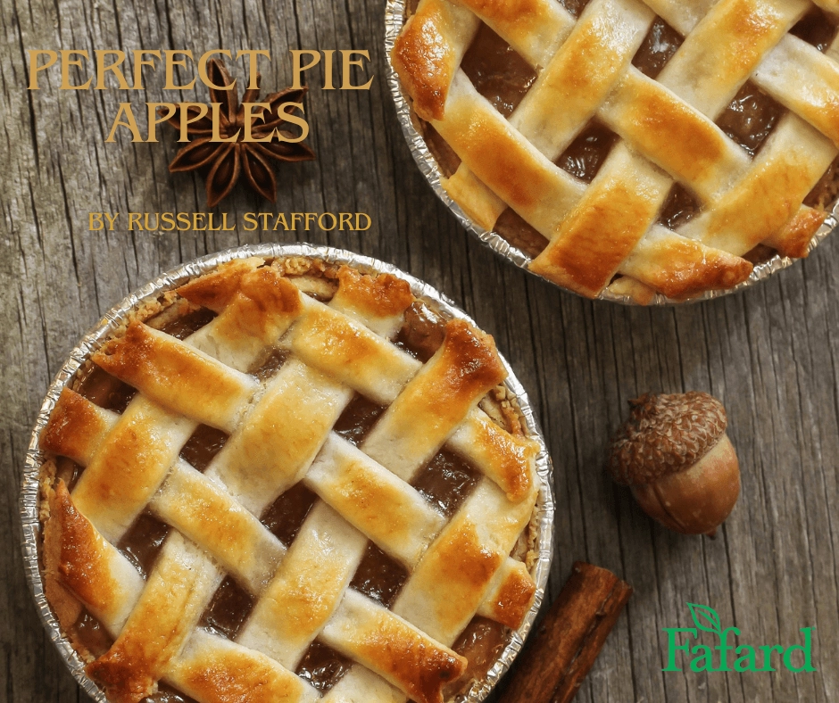 Two lattice-topped mini apple pies on a weathered wood table with cinnamon stick, acorn, anise and "Perfect Pie Apples" title