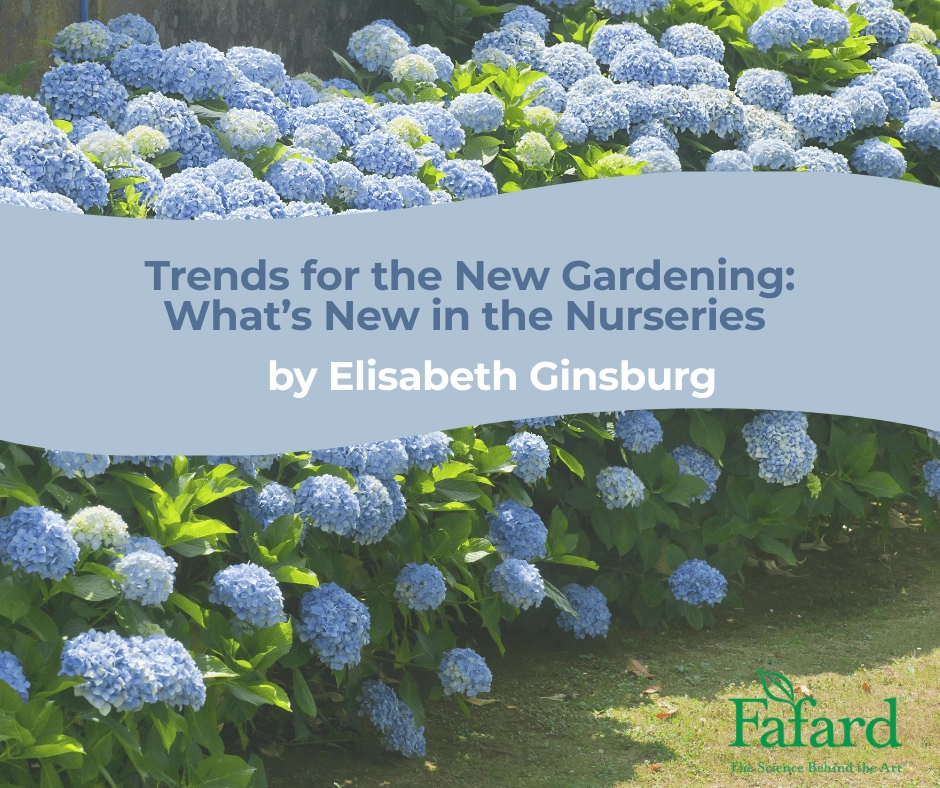 Blue hydrangea border with title banner "Trends for the New Gardening: What's New in the Nurseries by Elisabeth Ginsburg"