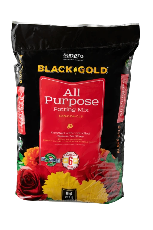 Black Gold All Purpose Potting Mix 16 qt bag with red label, flowers and 6-month controlled release fertilizer branding