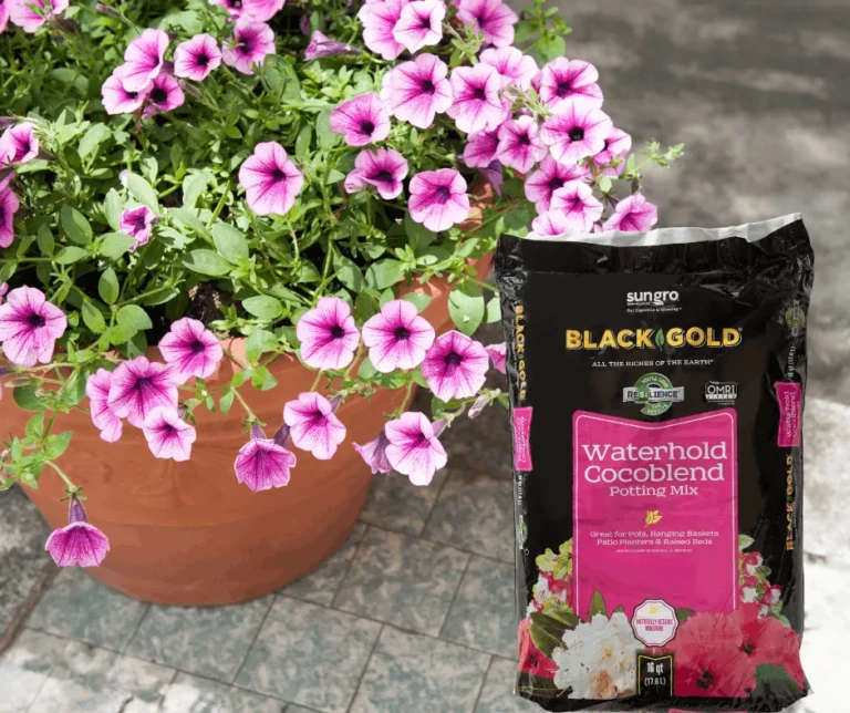 Pink petunias in a terracotta pot beside Black Gold Waterhold Cocoblend potting mix bag for planters and hanging baskets