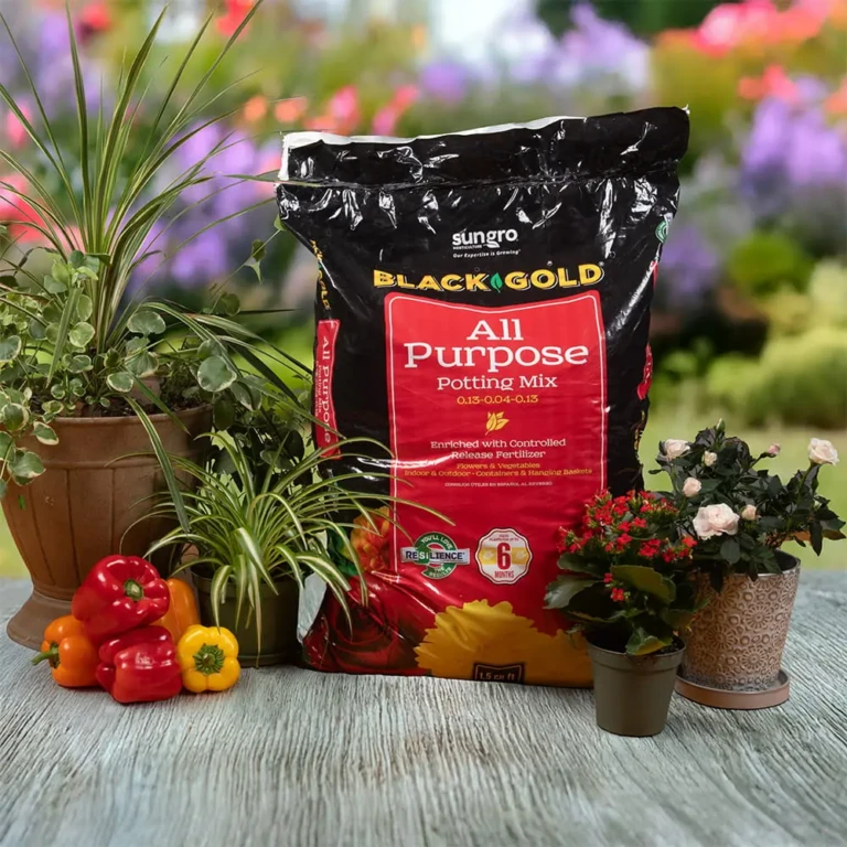 Bag of Black Gold All Purpose Potting Mix displayed with potted plants and colorful bell peppers on a garden table