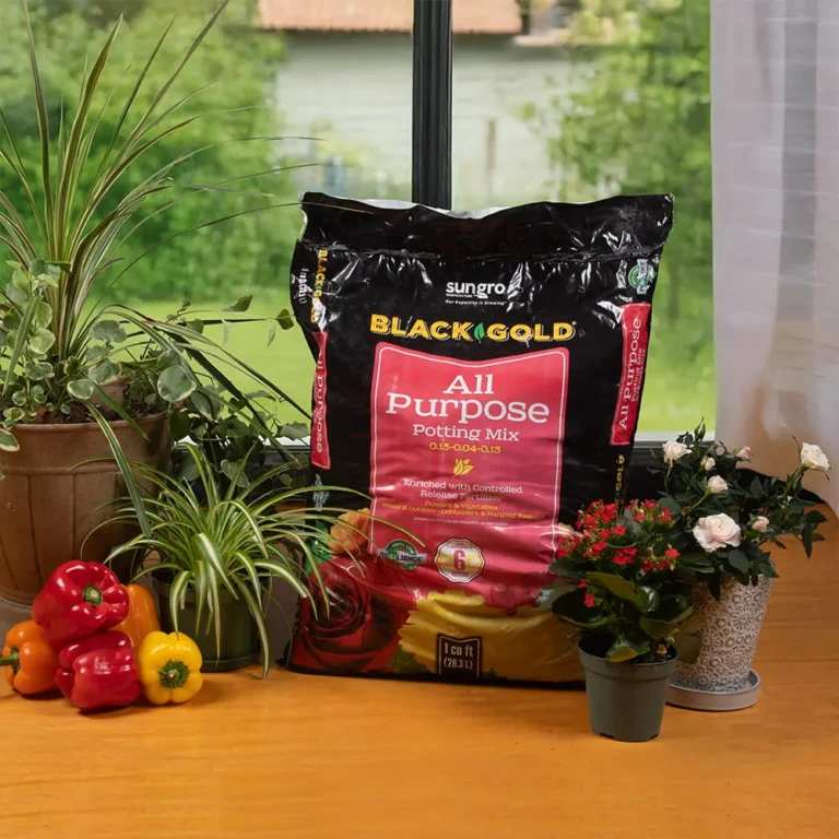 Black Gold All Purpose Potting Mix bag on table with houseplants, flowering pots and red, yellow bell peppers by a window