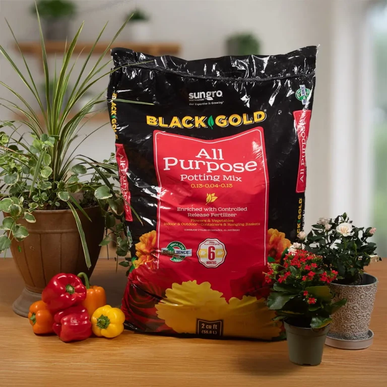 Bag of Black Gold All Purpose Potting Mix displayed on a table with potted plants and colorful bell peppers, lifestyle scene