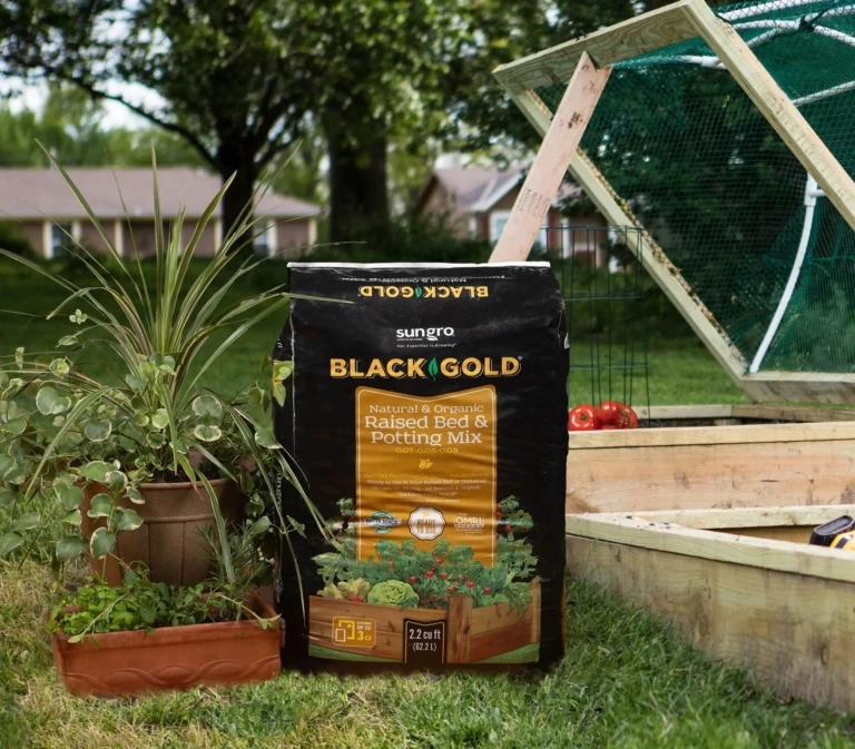 Bag of Black Gold raised bed & potting mix beside potted plants and a wooden planter in a backyard gardening scene