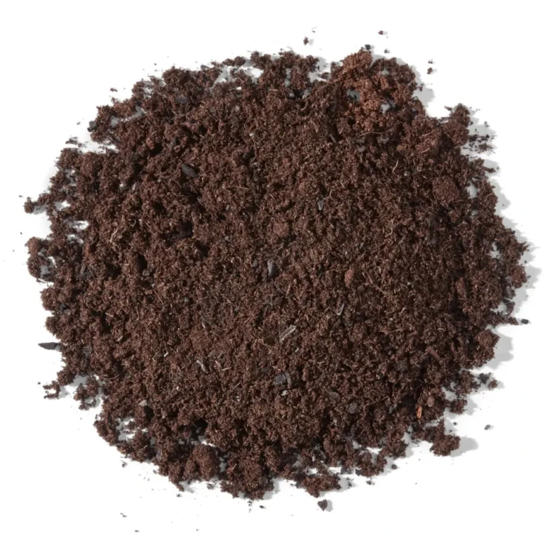 Black Bear mix-min