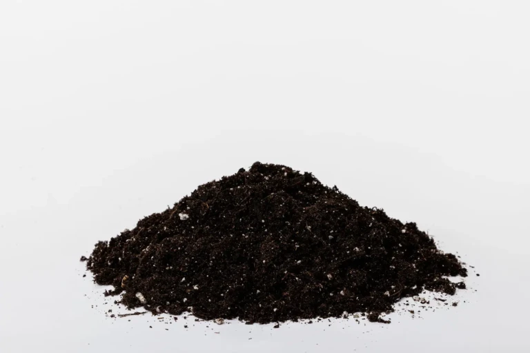 Black Gold All Purpose Potting Mix (1) 1