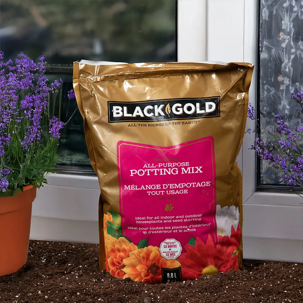 Black-Gold®-All-Purpose-potting-mix-88-min
