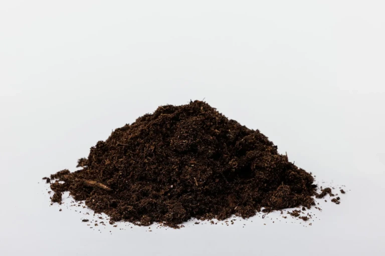 Pile of Black Gold garden compost on white background, rich dark organic soil for gardening and potting mixes