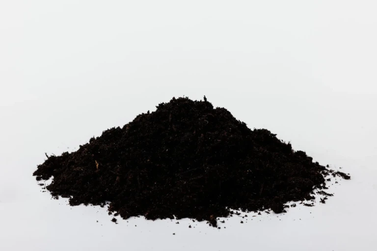 Black Gold garden soil pile on white background, rich dark organic compost for planting and container gardening