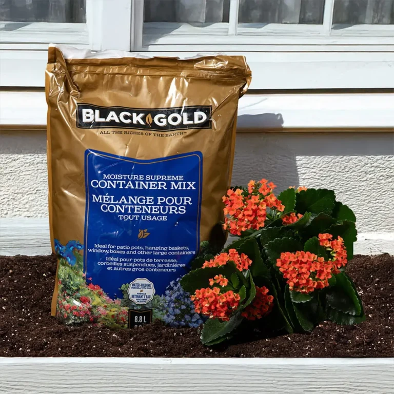 Black-Gold®-Moisture-Container-Mix-88-min