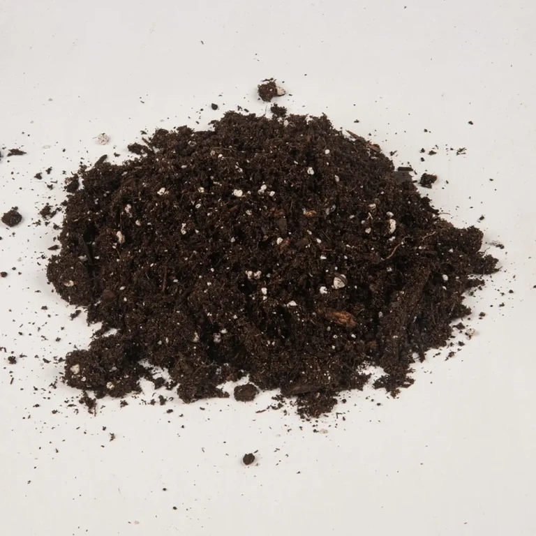 Black-Gold®-Moisture-Container-Mix-min