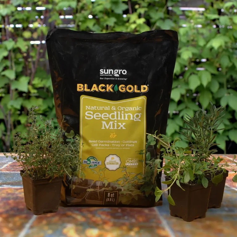 Black Gold® Natural & Organic Seedling Mix 8qt