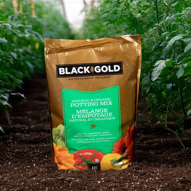 Black-Gold®-NO-Potting-Mix-Potting-88-min