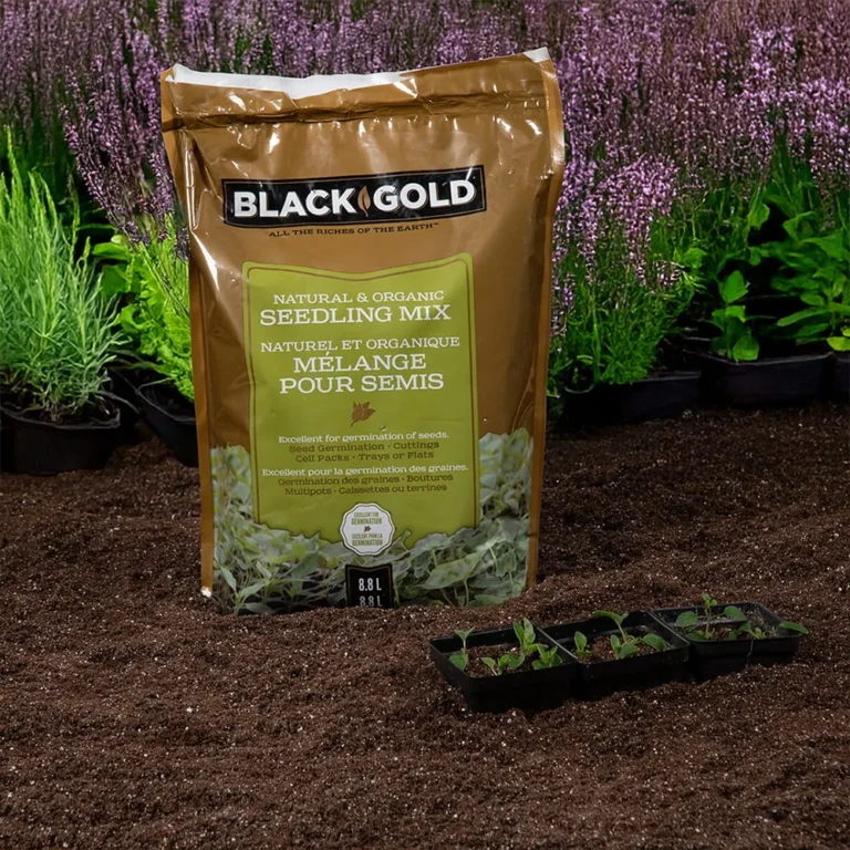 Black-Gold®-NO-Seedling-Mix-88-min