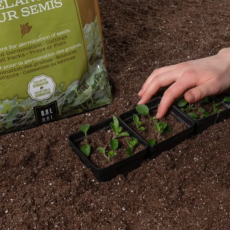Black-Gold®-NO-Seedling-Mix-potting-min
