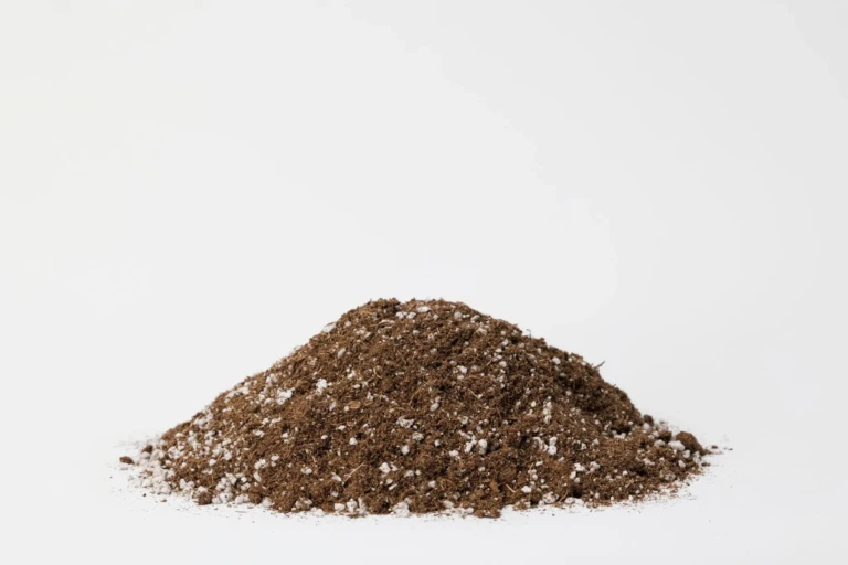 Black Gold Seedling Mix