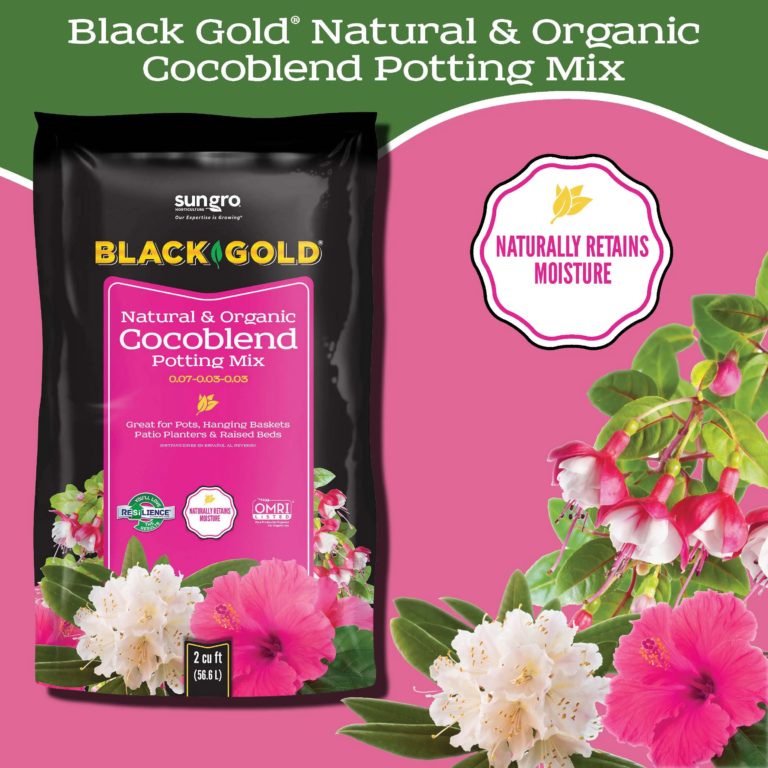 Cocoblend (1)_Page_1
