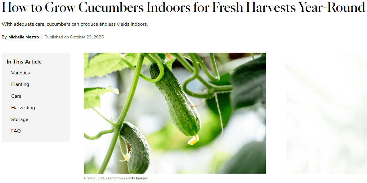 image of article about how to grow cucumbers indoors
