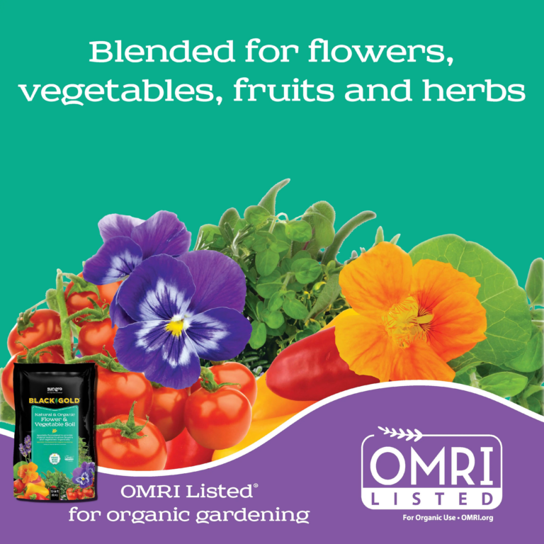flower & vegetable_Page_2